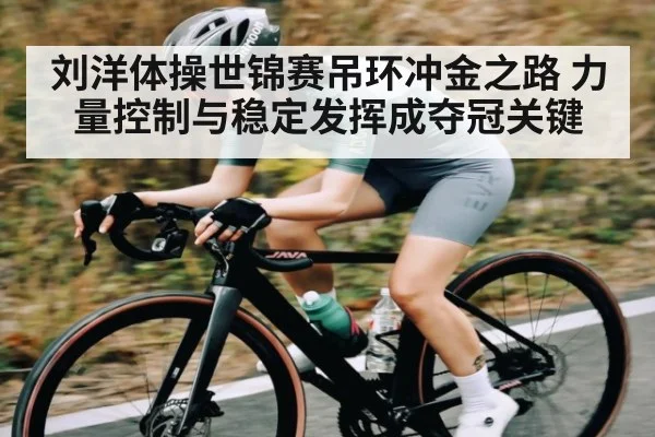 刘洋体操世锦赛吊环冲金之路 力量控制与稳定发挥成夺冠关键（Xingkong）